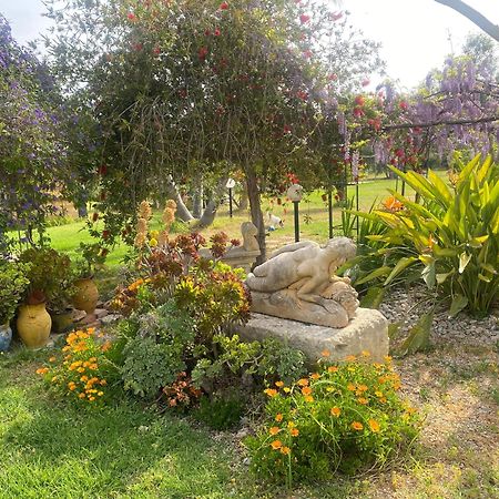 Agrib&B Lemontree Garde'N Syracuse Bagian luar foto