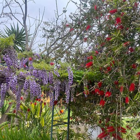 Agrib&B Lemontree Garde'N Syracuse Bagian luar foto