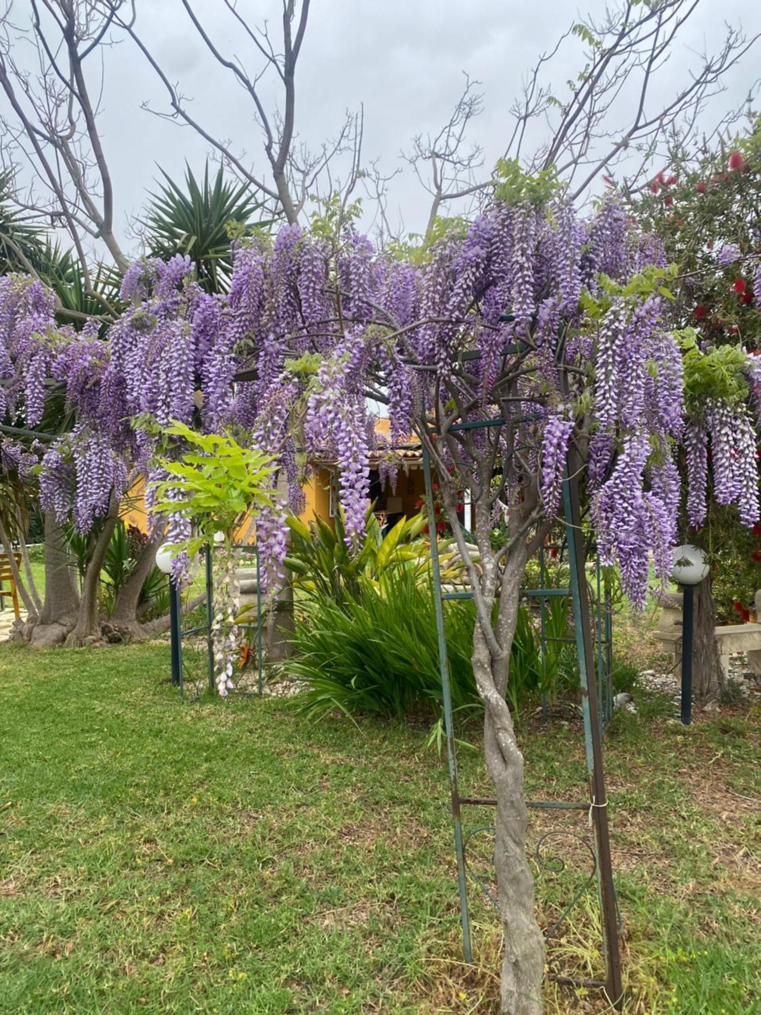 Agrib&B Lemontree Garde'N Syracuse Bagian luar foto