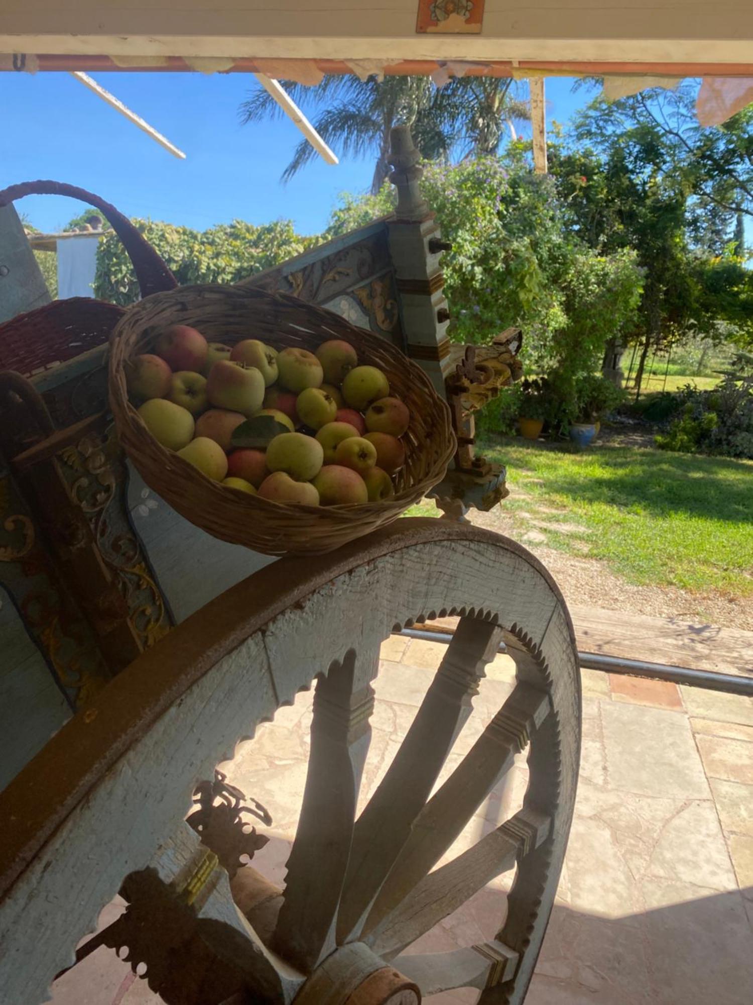 Agrib&B Lemontree Garde'N Syracuse Bagian luar foto